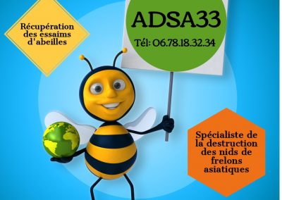 ADSA 33