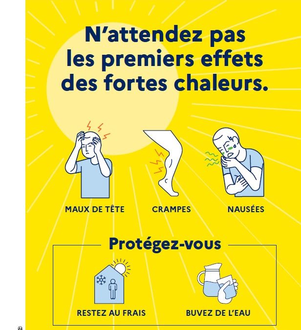 Fortes chaleurs : les bons réflexes